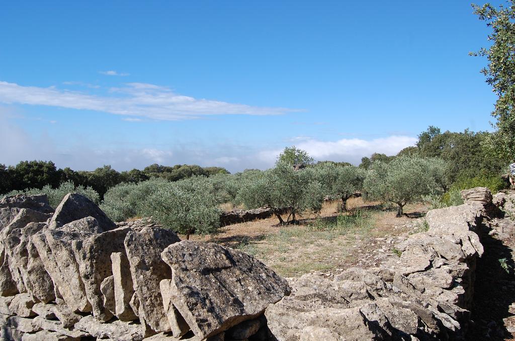 Cyprès du Paradis à Gordes Exterior foto